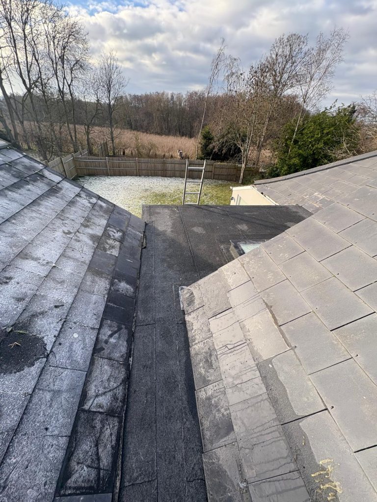 Roof Needs Replacing